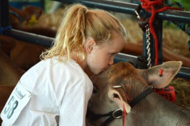 Junior 4-H member, Anabelle Edelstein, cuddles with her calf “Squiggle” before the Dairy Show.